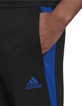Pantalon Adidas Tiro TR Negro/Azul Hombre
