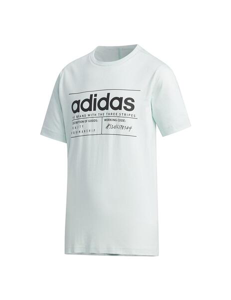 Camiseta Manga Corta Adidas BB Verde Agua Pastel