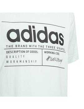 Camiseta Manga Corta Adidas BB  Verde Agua Pastel