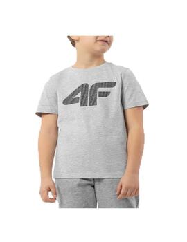 Camiseta 4F Sportswear Logo Gris Niño