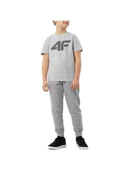 Camiseta 4F Sportswear Logo Gris Niño