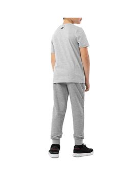 Camiseta 4F Sportswear Logo Gris Niño