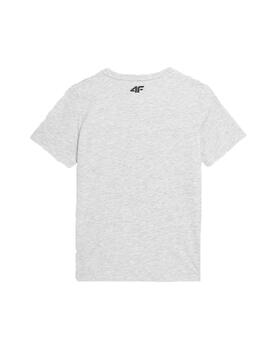 Camiseta 4F Sportswear Logo Gris Niño