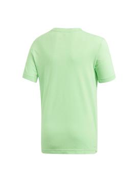 Bienvenido Susurro harto Camiseta Adidas YB TR Prime Verde