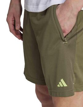 Pantalon Adidas TR-ES+ Short Verde Hombre