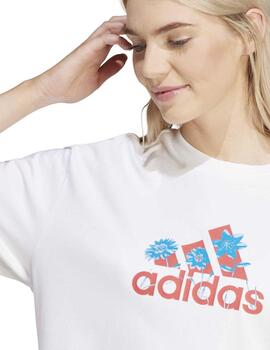 Camiseta Adidas W FLWR BOS GT Beige Mujer