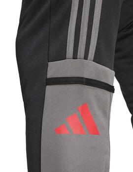 Pantalón Adidas SQ25 TR PNT Negro Hombre