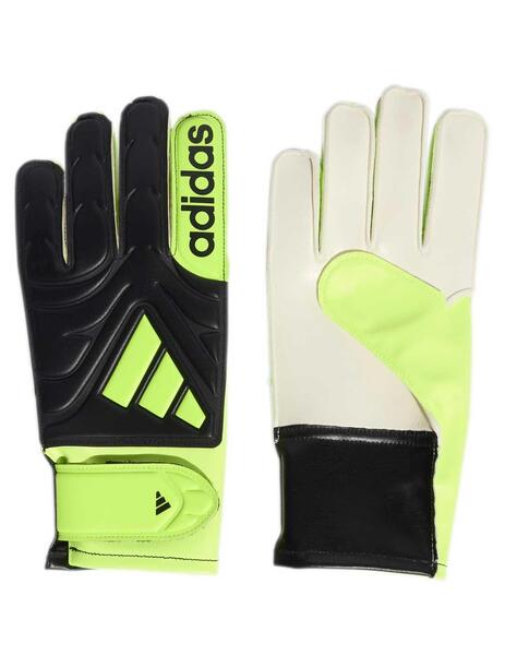 Gallery a17657 zw5ynurk