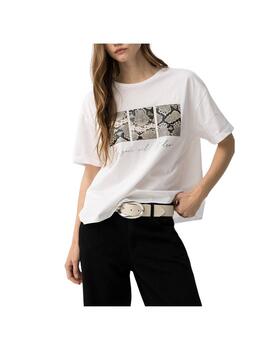 Thumb a19686 vvgajszi