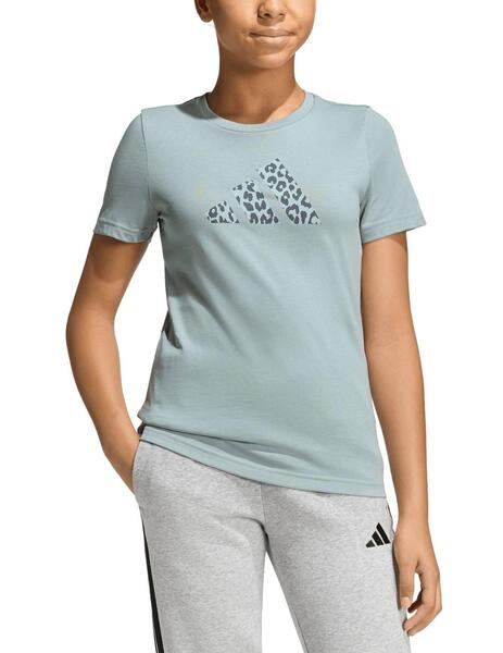 Gallery a19722 f99ghazd