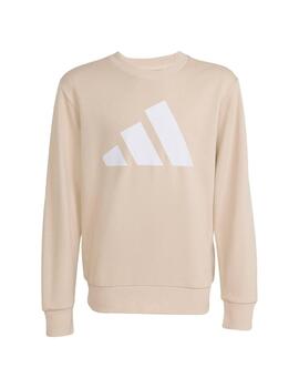Chándal Adidas BL FT Jog 280 Beige