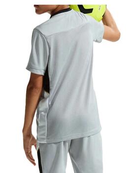 Camiseta Nike Academy Dri-Fit Gris