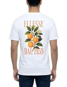 Camiseta Ellesse 1959 Blanco Hombre