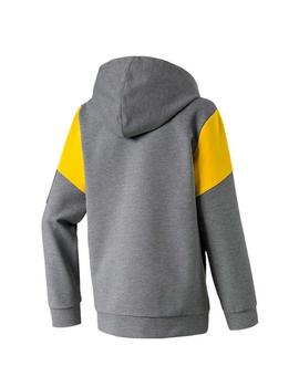 Sudadera Puma NU-TILITY Gris