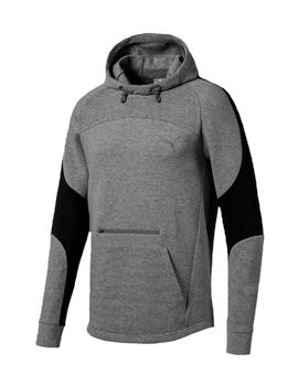 Sudadera Puma Evostripe Gris